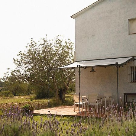 Masia Bartomeu Rural House Between Vineyards 2Km From The Beach El Vendrell Luaran gambar