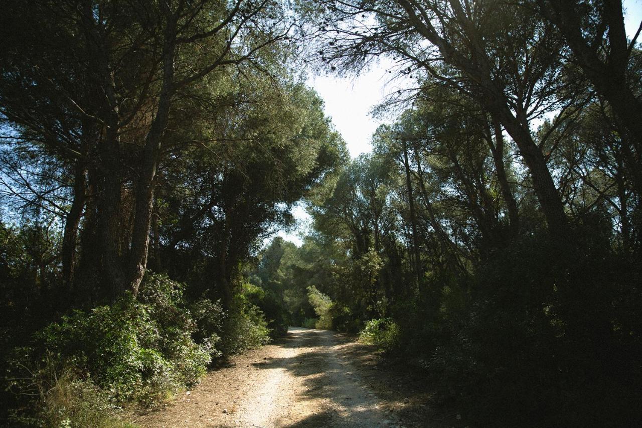 Masia Bartomeu Rural House Between Vineyards 2Km From The Beach El Vendrell Luaran gambar