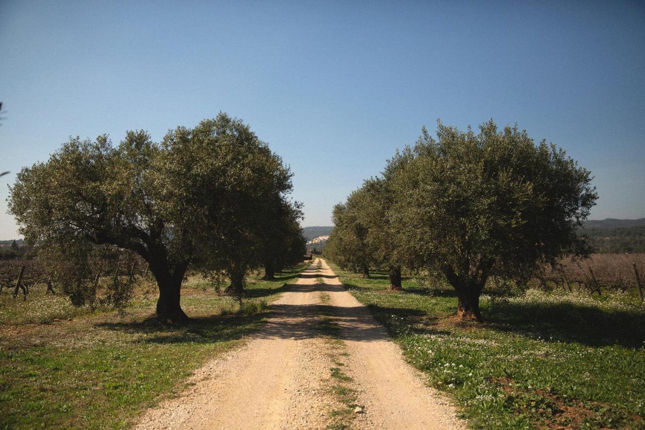 Masia Bartomeu Rural House Between Vineyards 2Km From The Beach El Vendrell Luaran gambar
