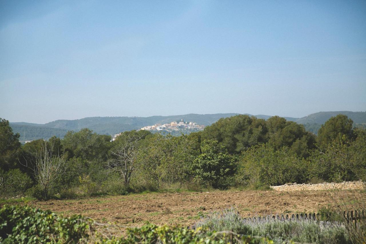 Masia Bartomeu Rural House Between Vineyards 2Km From The Beach El Vendrell Luaran gambar