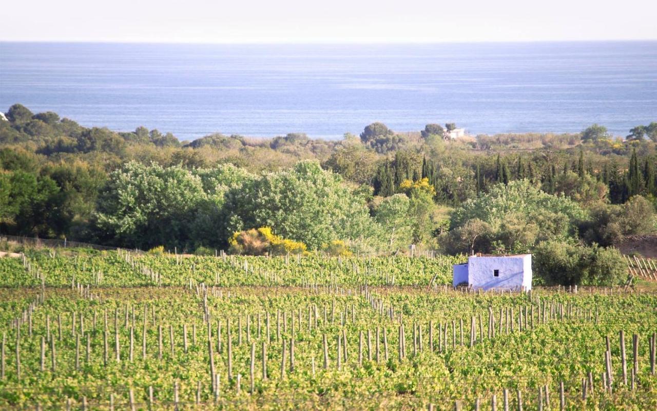 Masia Bartomeu Rural House Between Vineyards 2Km From The Beach El Vendrell Luaran gambar